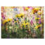 «Coreopsis Flowers and Paint Splash», impression sur toile tendue-19240262