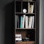 Bibliothèque de style européen