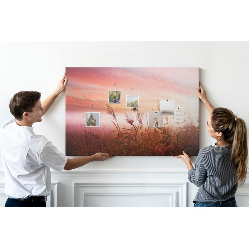 Adrastus Cork Corkboard / Bulletin Board