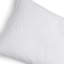 Wildflowers Sham White-1080247214