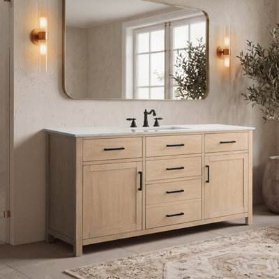 Shamar 60" Single Bathroom Vanity