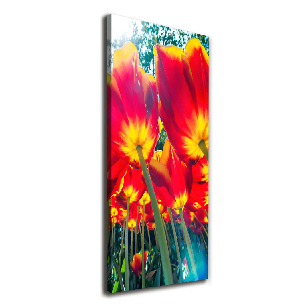 Red Tulips - Wrapped Canvas Art Prints