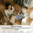 Kiner Vintage Machine Washable Area Rugs Perfect for Living Room, Dining Room, Bedroom-1776928259
