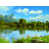 Unframed n'est pas disponible