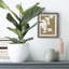Chunky Abstract Art Gallery-1789919449-1789919462
