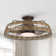 27" Taunya 5 - Blade Caged Ceiling Fan with LED Lights and Remote Control