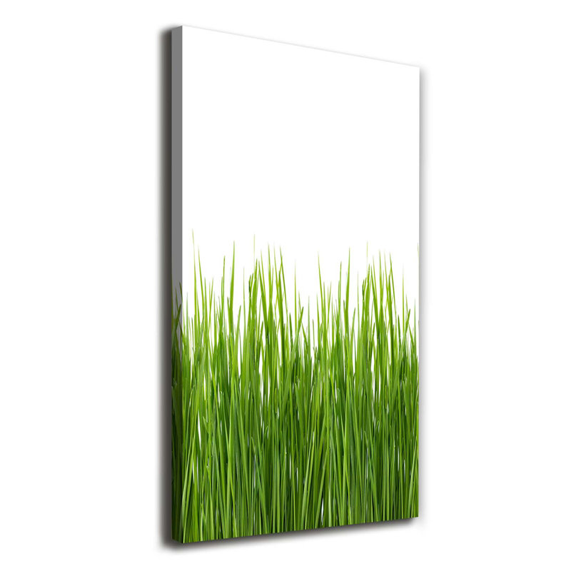 Green Grass - Wrapped Canvas Print