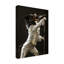 Art sur toile bolologien, Ray Heere 2-104118470