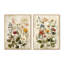 Art mural sur toile 2 fleurs rétro-1337294301-1076230899