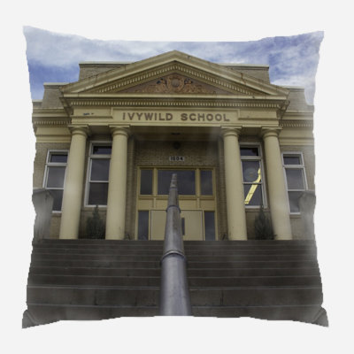 School Throw Pillow