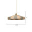 Parasol 1 - Light Pendant-329281827