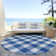 Colzie Checkered Indoor / Outdoor Rug