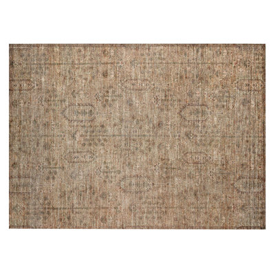Chamaya Southwestern Indoor / Outdoor Rug