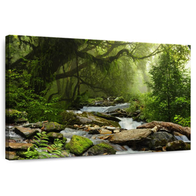 Alvord Nepal Rainforest