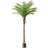 Artificial Palm Tree In A Pot-646548271