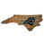 Carolina Panthers