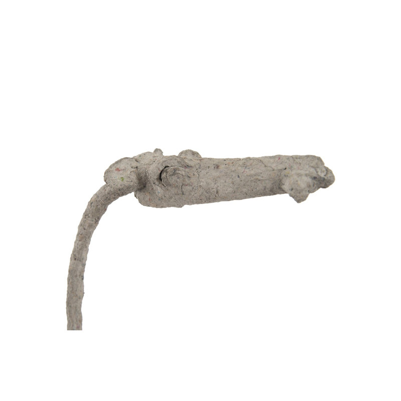 Camel Statue