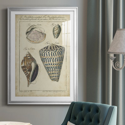 Étude de coquillage rétro II, impression sur papier