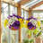 2 Sets Artificial Hanging Pansy Flowers With Baskets, 24 Pcs UV Resistant Faux Silk Pansy Outdoor Hanging Flower For Porch Patio Garden Home Spring Decor