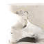 Atrakchi Accent Stool-1701946782