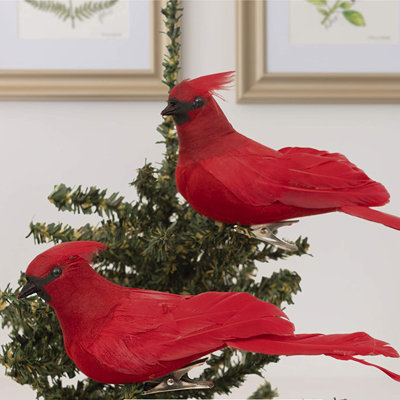 Pince Cardinal