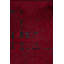 Rapture Red/Black Luxury Area Rug-68861398