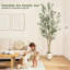 Olive artificielle à l'intérieur, olivier artificiel de 6 pi de hauteur avec pot de fleurs blanc et fausse mousse verte, plantes artificielles avec tronc en bois naturel et fruits réalistes pour la décoration de bureau personnel-1006130703-1006130701