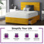 Hayder Upholstered Bed-158158400-158158401-258502069