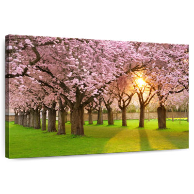 Harnek Spring Sakura Lane