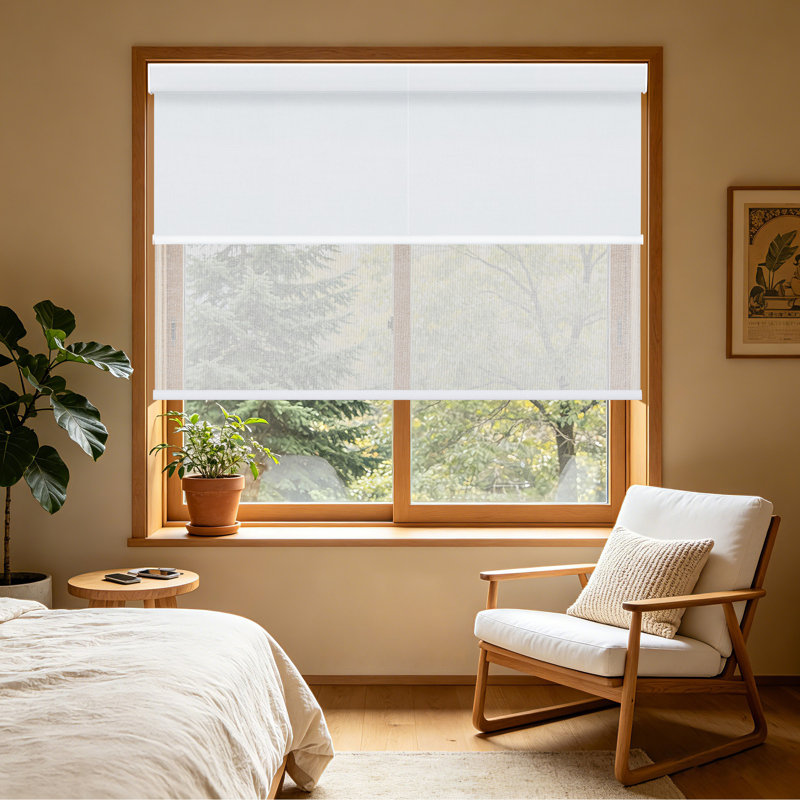  Cordless Dual Roller Shades with Square Cassette, Charcoal Gray and White, 24" W X 72" H, Blackout White & Filtering White