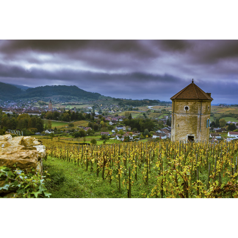 Perfas Arbois Vineyard, Jura, France - Wrapped Canvas Print, 61cm H x 91cm W x 3.8cm D