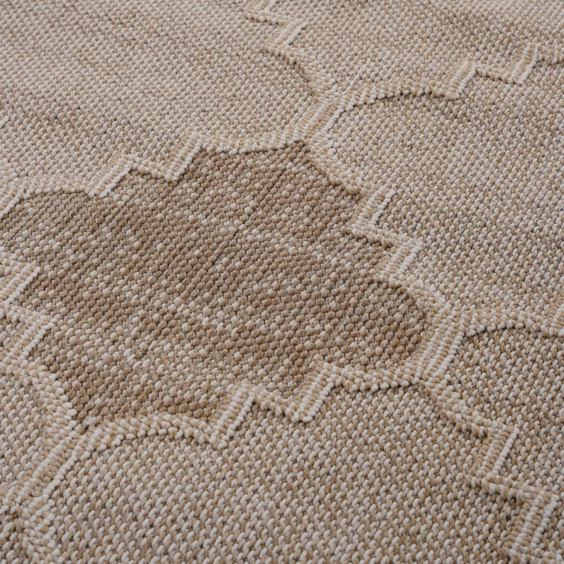 Trellis Indoor/Outdoor Area Rug, Rectangle 4' x 6'2"