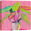 Plante verte sur fond rose, images lumineuses-102480318-102480319