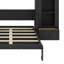 Murphy Platform Bed With Shelf, Side Cabinets, Drawers And LED-404633853