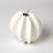 Sapelo Sea Star Vase