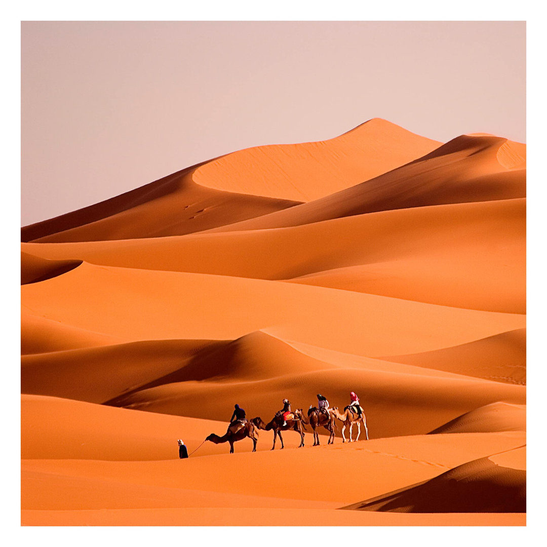 Namib Desert 1.92m x 1.92m Textured Matte Peel & Stick Wall Mural