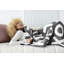 XOXO Throw Blanket-1070834529