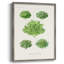 Reproduction encadrée de fruits et légumes VI - bois massif-2133343364