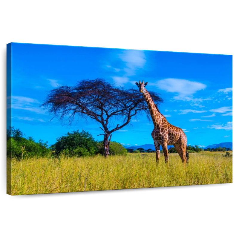 Girafe du parc national Brampt Ruaha, H 8 po x l 12 po