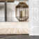Aranea Abstract Machine Washable Indoor/Outdoor Area Rug