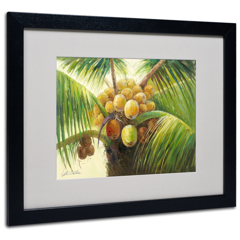 « coco palm ii » par victor giton, reproduction d’art encadrée, H 16 po x l 20 po x P 0,5 po, Noir