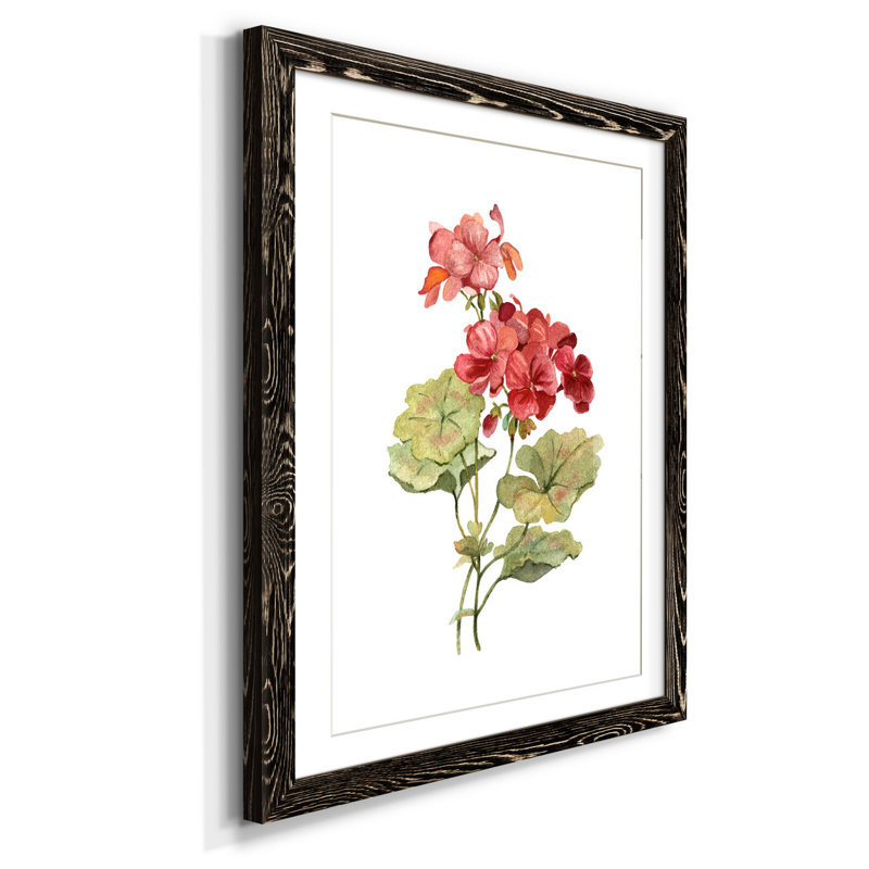 " Scarlet Geranium ", Black, 44" H x 31" W x 1" D