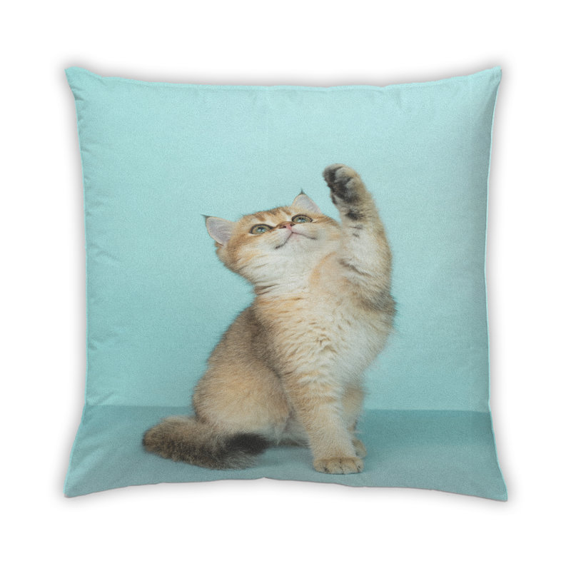 Throw Pillow, Microsuede