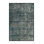 Anjenette Oriental Indoor Rug