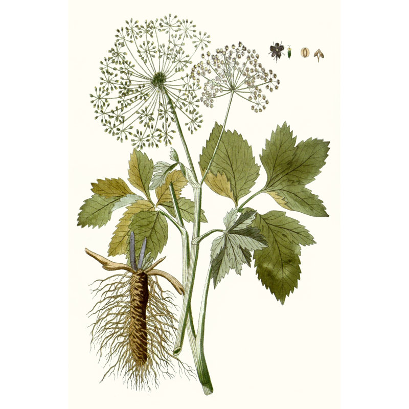 Lacy Leaves IV - Painting Print, 122cm H x 81cm W, Black Floater Framed