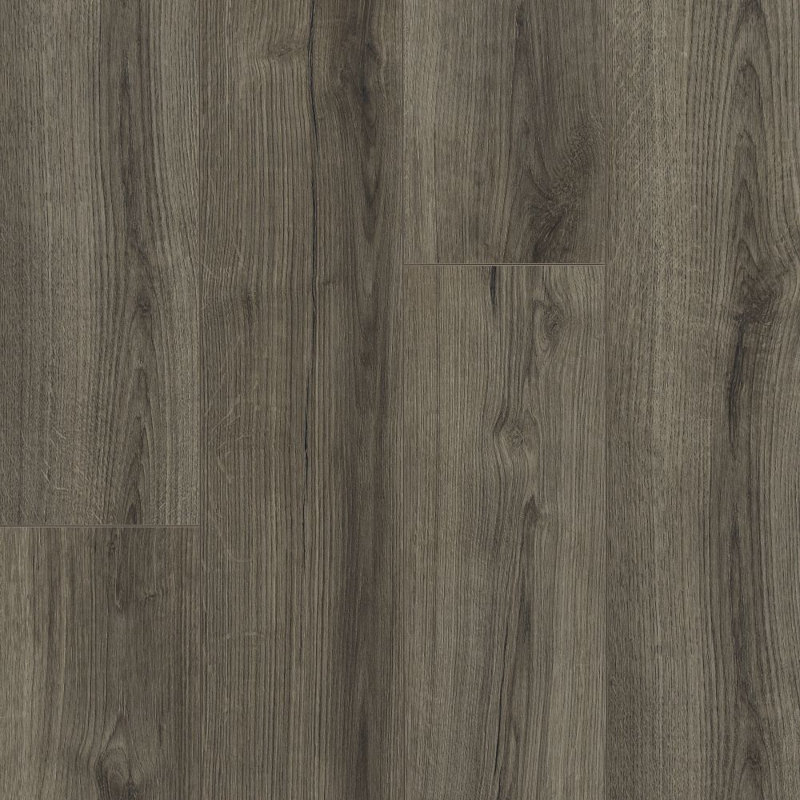 Parquet stratifié chêne 7,5 po x 54 po x 8 mm Empire Plus, Starlight