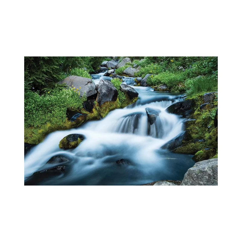 Waterfall In A Forest, Mount Rainier National Park, Washington State, USA - Wrapped Canvas Print