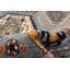 Tapis oriental turquoise / beige Agenore-978981228