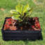 Anil Raised Planter Box: Stop Soil Compaction & Easy Setup-242607170