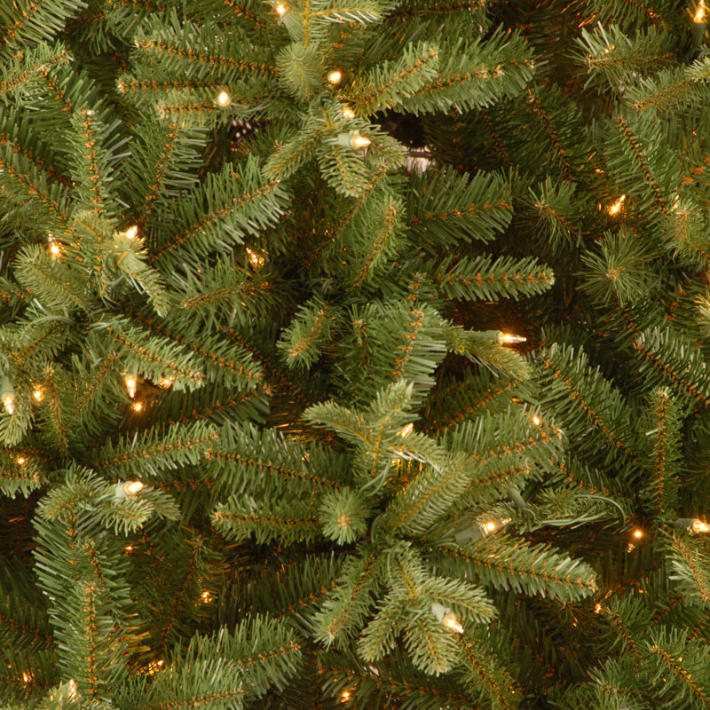 The Holiday Aisle® Tiffany Fir Tree with Clear Lights, 9'